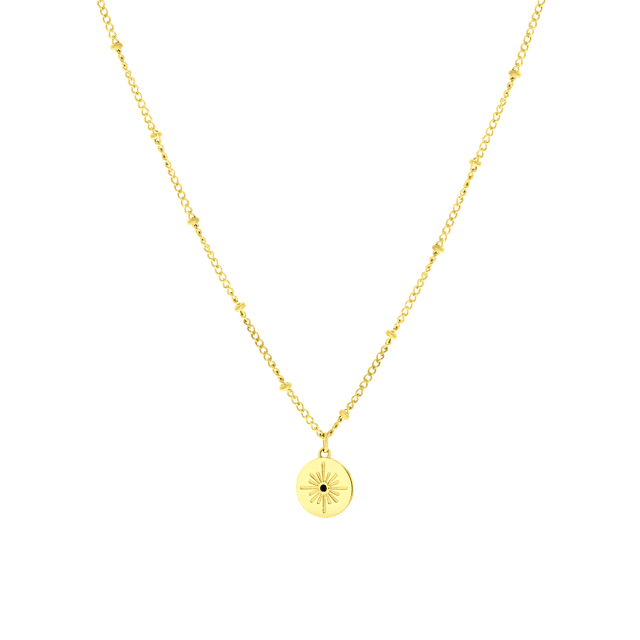 Myla stainless steel goldplated ketting voor dames