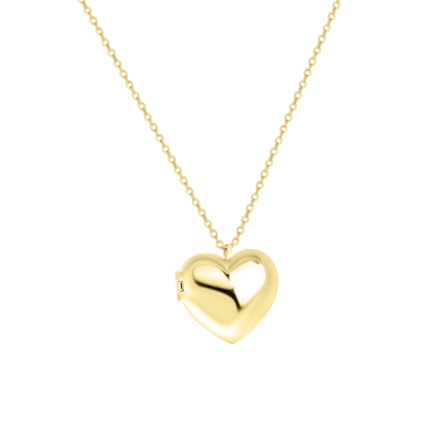 Zilveren goldplated ketting&hanger hart medaillon voor dames