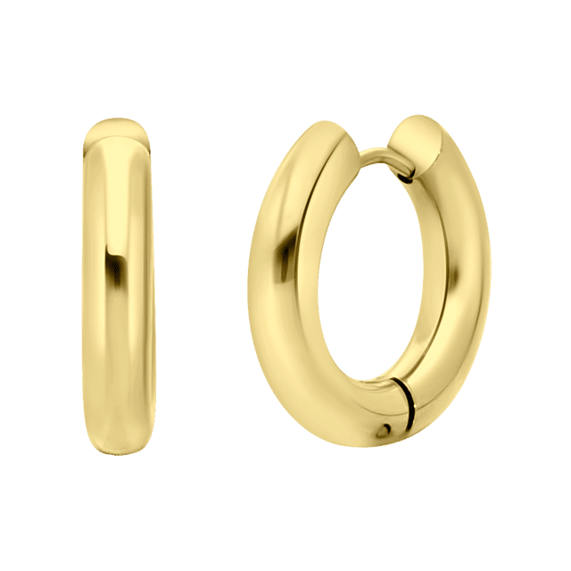 Camille stainless steel 18 karaat goldplated oorringen voor dames
