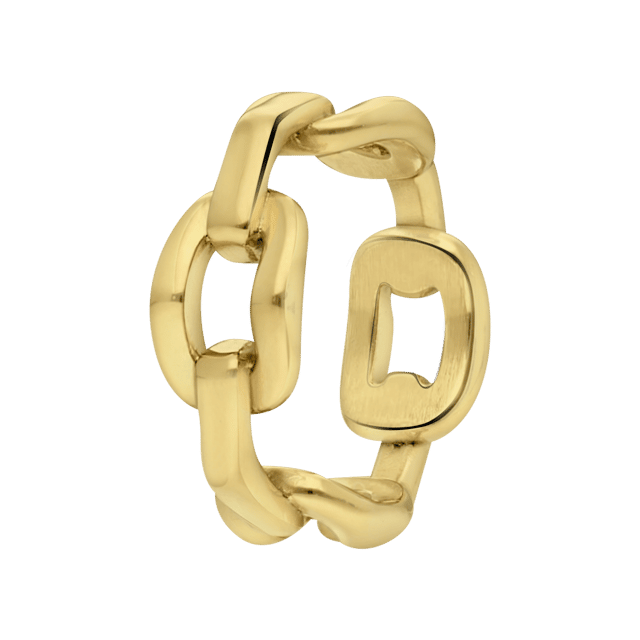 Stainless steel 18 karaat goldplated ring Blaise