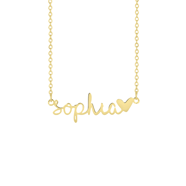 Stainless steel goldplated naamketting
