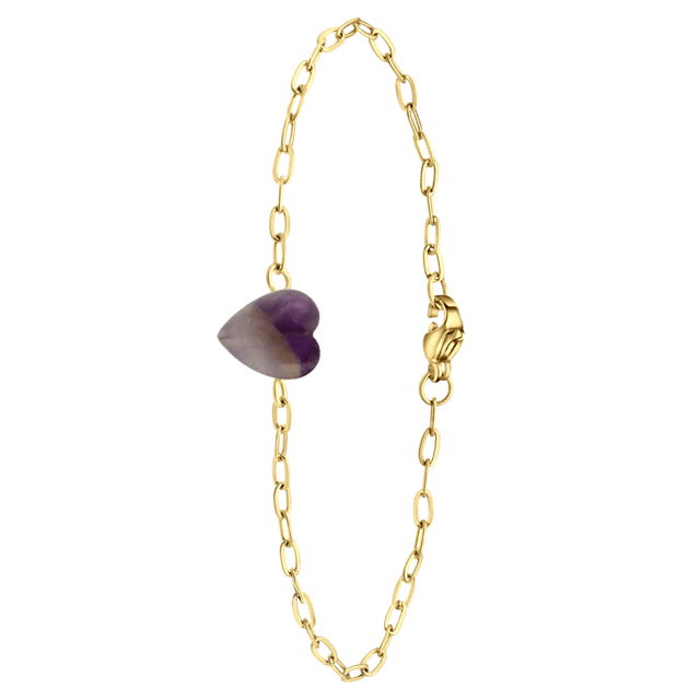 Stainless steel goldplated armband met hart amethist