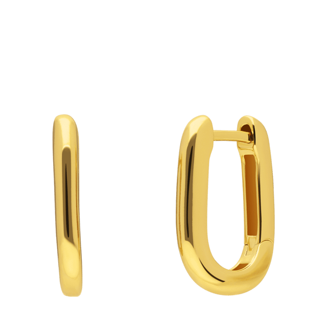 Zilveren ovalen oorringen goldplated voor dames