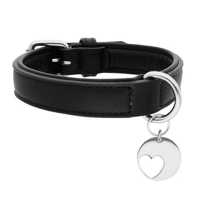 PU Leren halsband met stalen halsband hanger hart