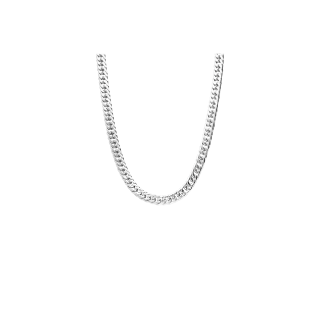 Stainless steel ketting met gourmetschakel