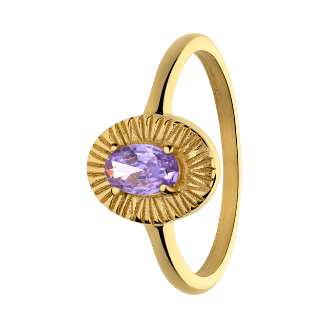 Stainless steel goldplated vintage ring bewerkt paars steen