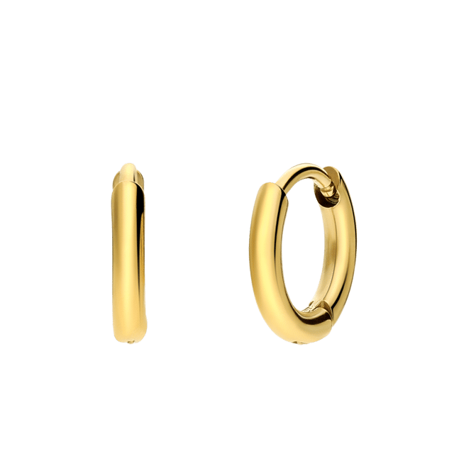 Stainless steel goldplated oorringen 10mm voor dames