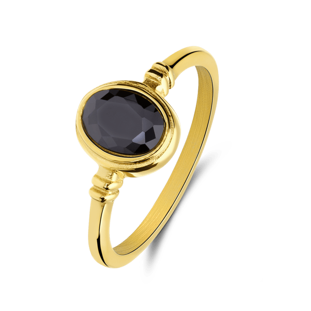 Stainless steel goldplated vintage ring ovaal zwart