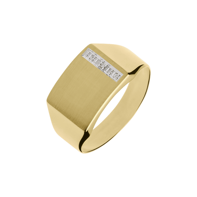 14 Karaat gouden zegelring met diamant 0,005ct