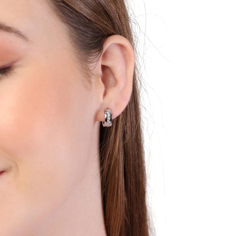 Stalen oorbellen met zirkonia