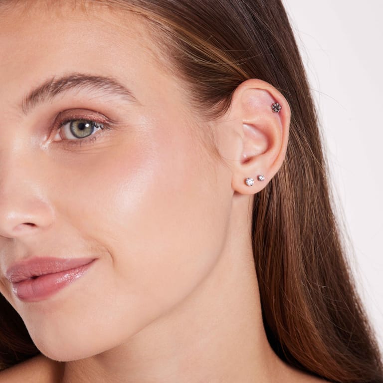 Stainless steel helixpiercing hondenpoot