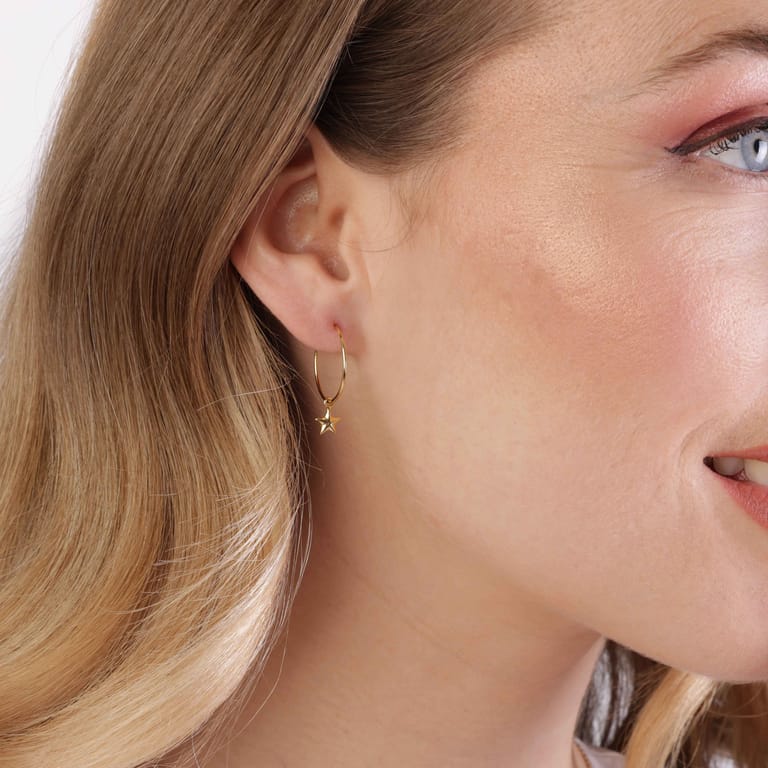 Zilveren oorbellen letter/stardust