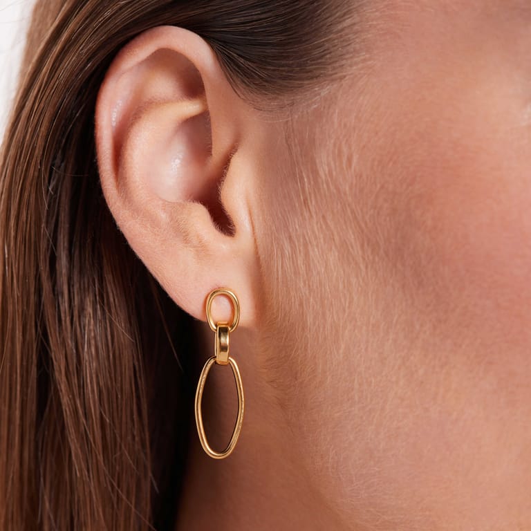 Stainless steel goldplated oorhangers voor dames