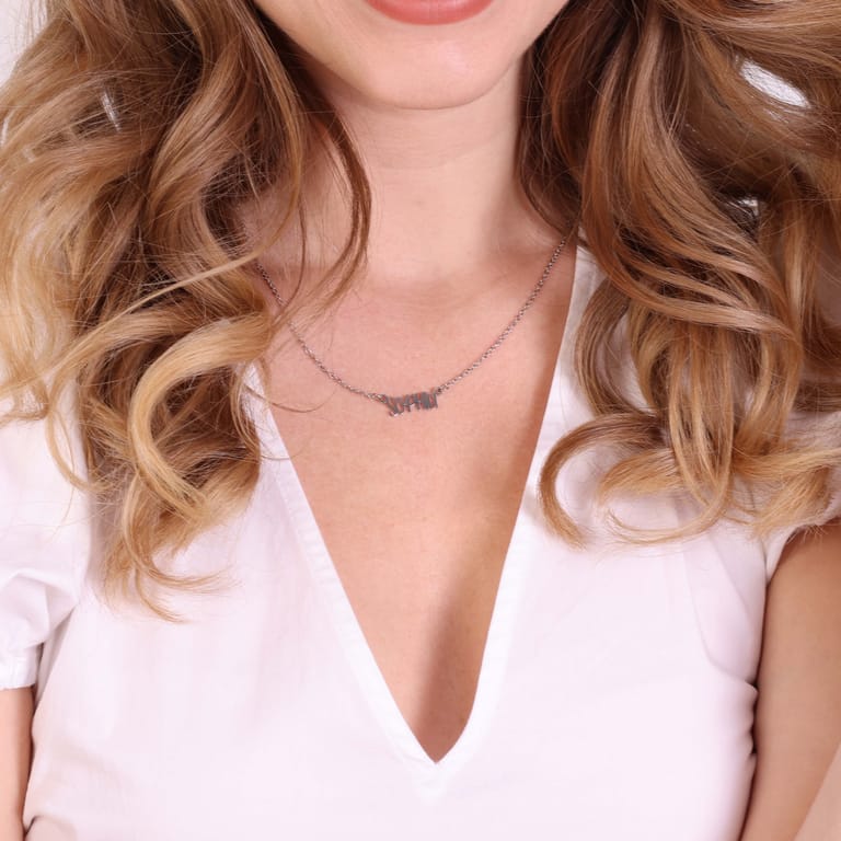 Stainless steel naamketting