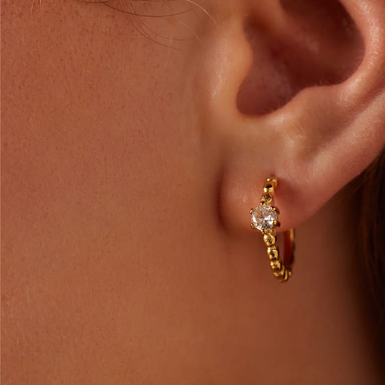 Stainless steel goldplated oorringen met zirkonia voor dames