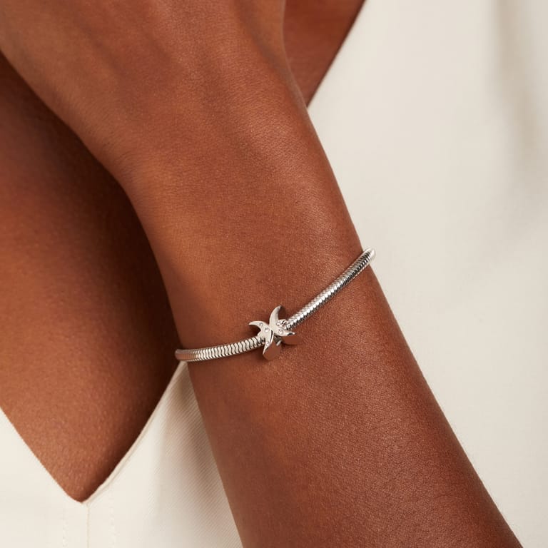 Bettelarmband-Anhänger aus Edelstahl, Sternzeichen Fische