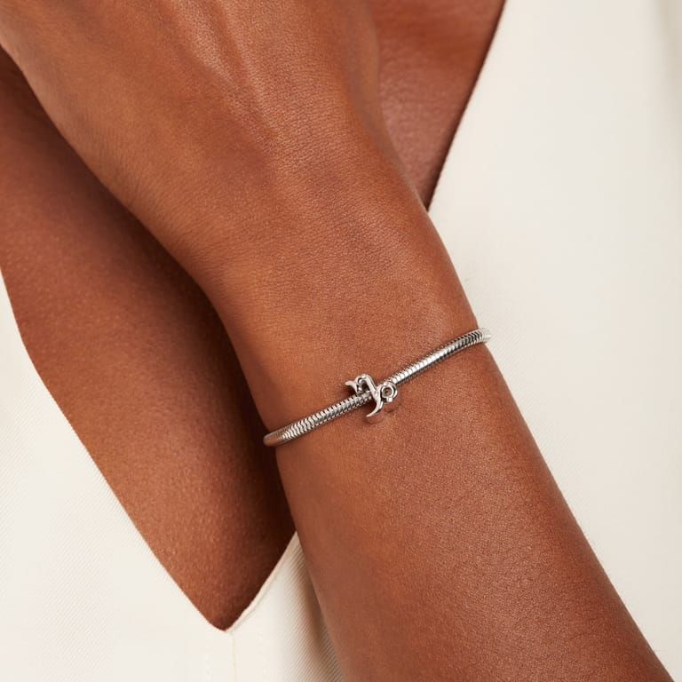 Bettelarmband-Anhänger aus Edelstahl, Sternzeichen Steinbock