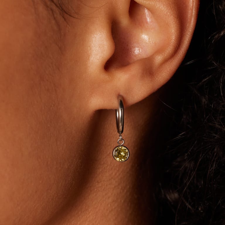 Stainless steel oorbellen met geboortesteen november