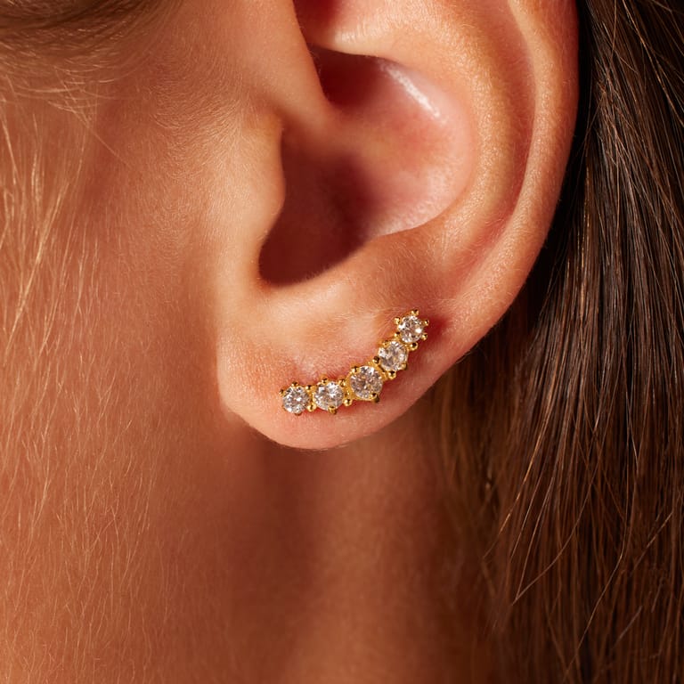 Stainless steel goldplated oorknoppen met zirkonia voor dames