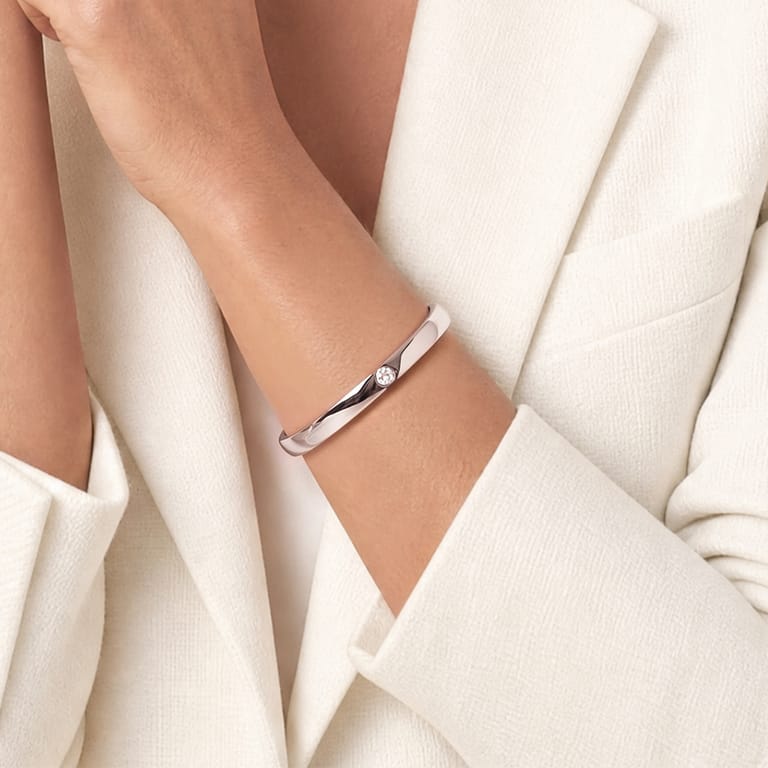 Stainless steel bangle met plating met zirkonia voor dames