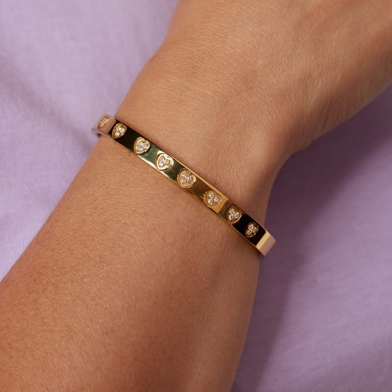 Stainless steel bangle harten zirkonia