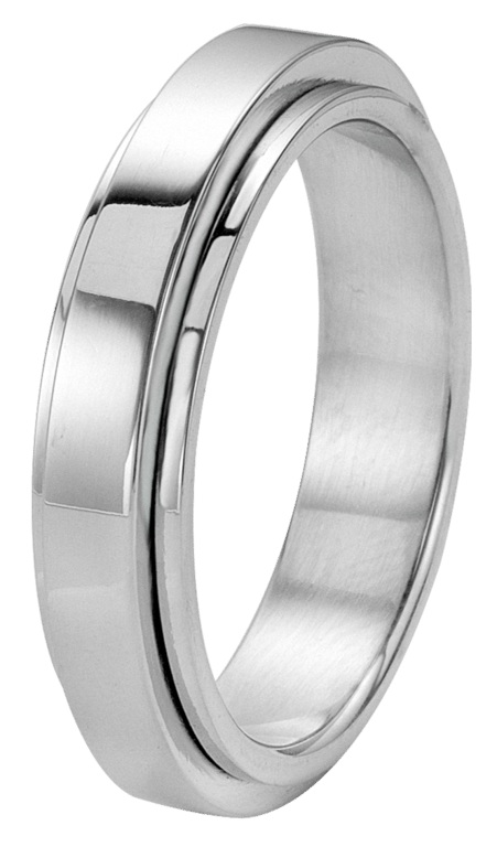 Stainless steel liefdesring Pisa heren