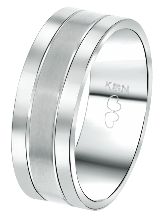 Stalen herenring vriendschapsring 8mm