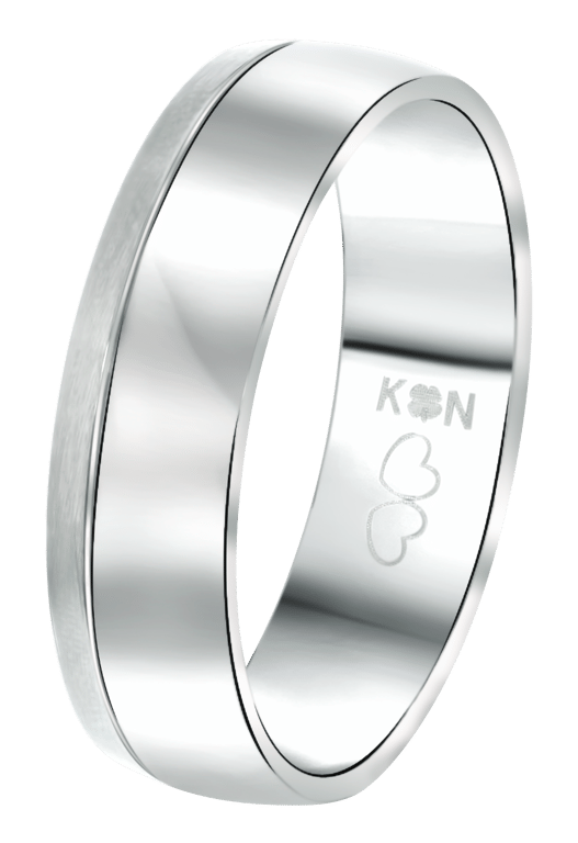 Gerecycleerd stainless steel vriendschapsring maldives heren