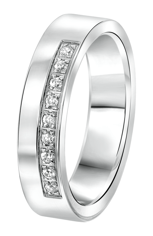 Stainless steel dames ring met zirkonia