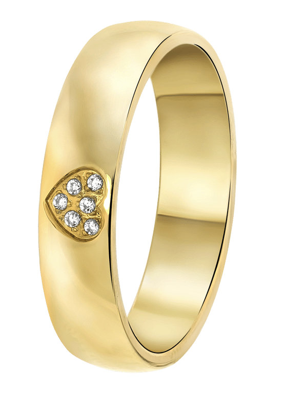 Stalen goldplated vriendschapsring Malaga met zirkonia voor dames
