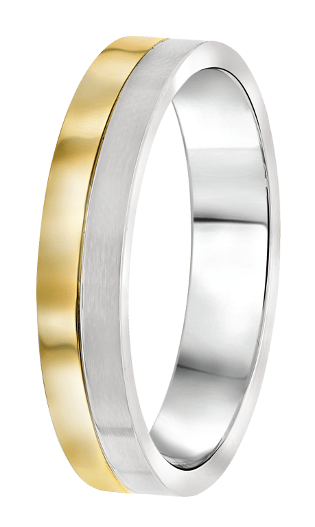 Stalen goldplated herenvriendschapsring Parijs