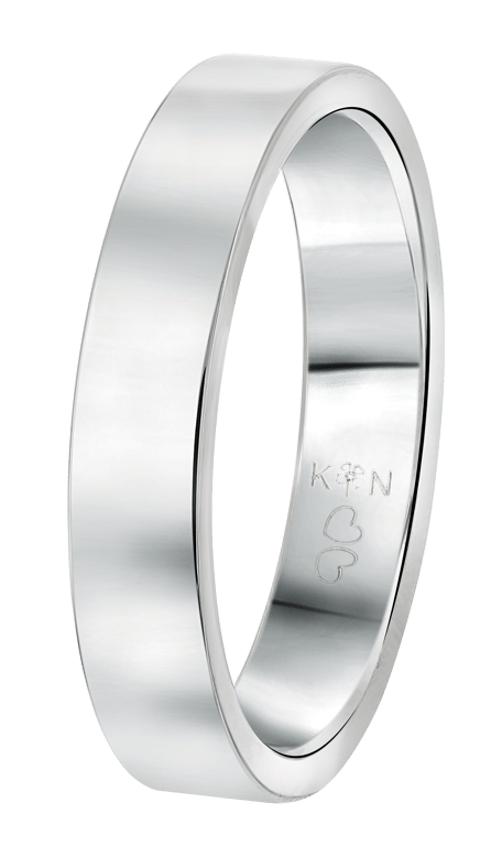 Gerecycleerd stainless steel vriendschapsring chicago heren