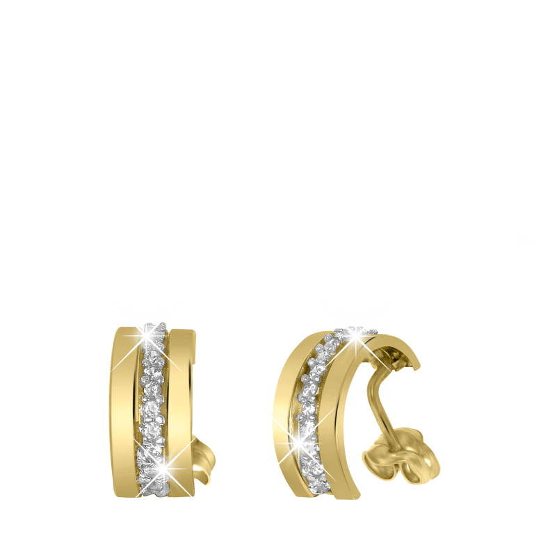 14 Karaat bicolor oorbellen met zirkonia