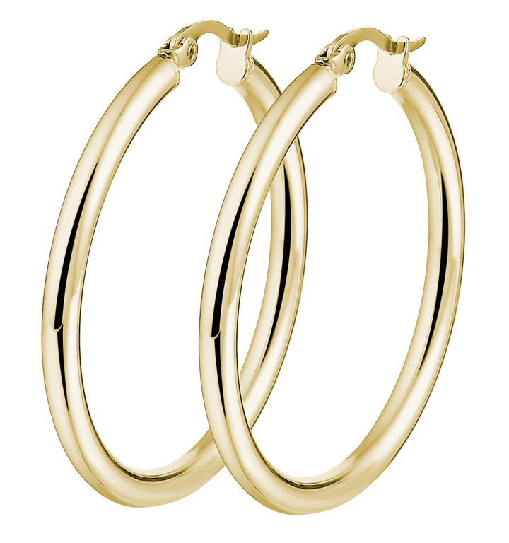 Stainless steel goldplated oorringen voor dames