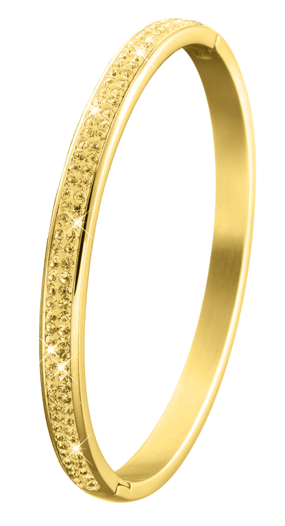 Stainless steel goldplated kinderarmband bangle met kristal