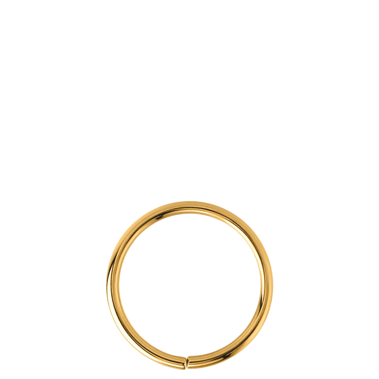 Stainless steel helixpiercing goldplated ring
