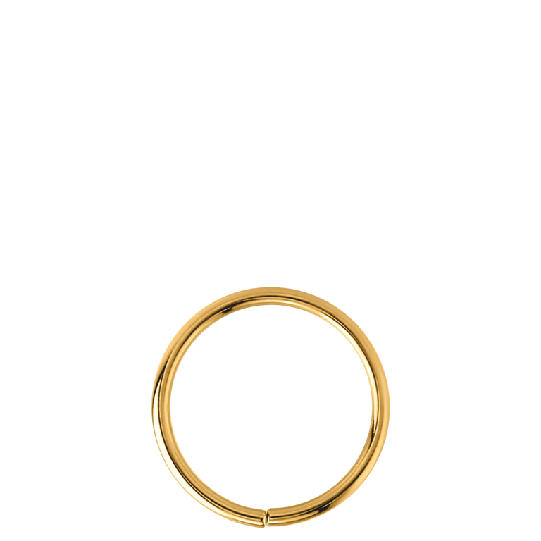 Stalen helixpiercing goldplated ring