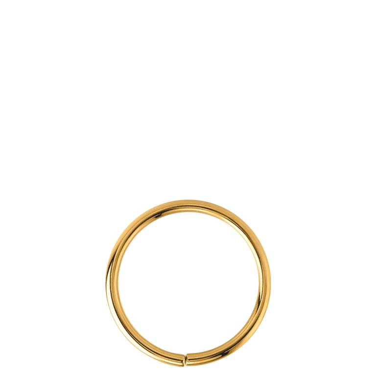 Tragus-Piercing aus vergoldetem Edelstahl, Ring