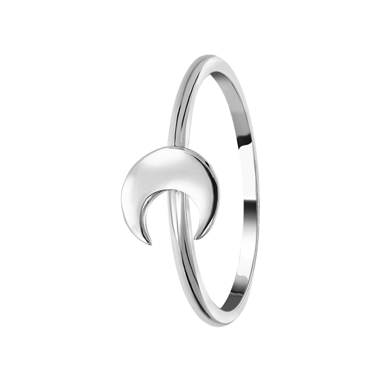 Zilveren ring galaxy maan