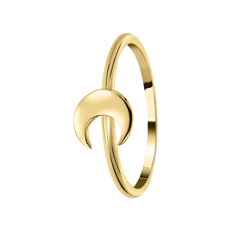 Zilveren ring goldplated galaxy maan