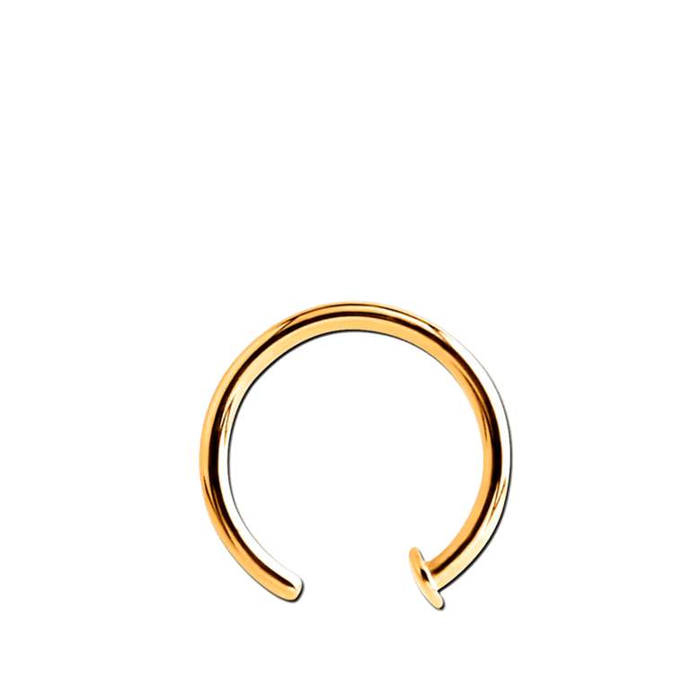 Stalen goldplated neuspiercing voor dames