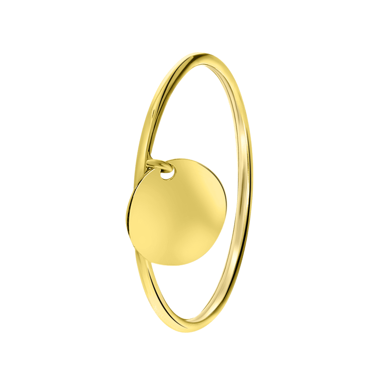 14 karaat geelgouden ring bedeltje disc