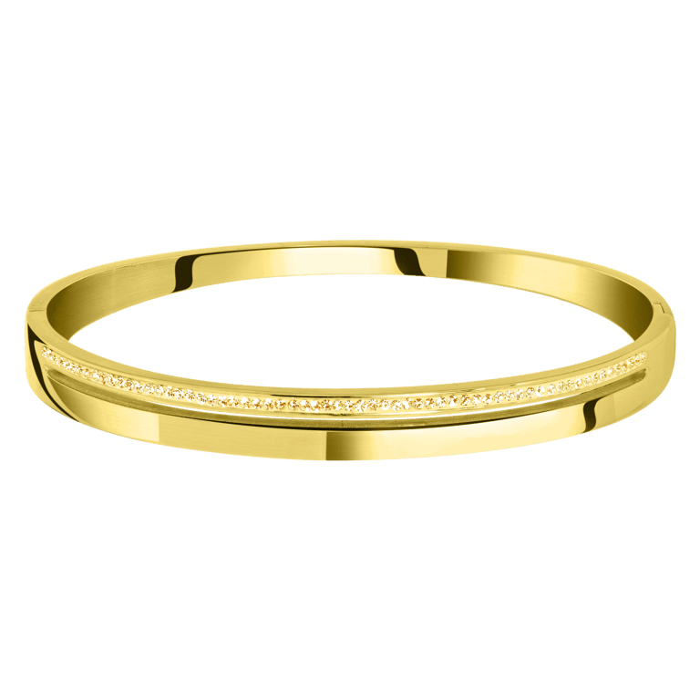 Stainless steel goldplated bangle met kristal voor dames