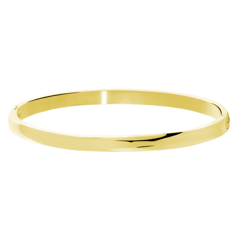 Stalen goldplated bangle 5mm voor dames
