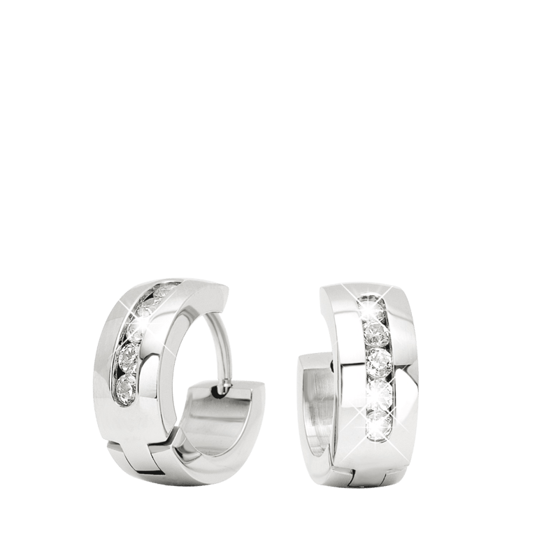 Stalen oorbellen met zirkonia