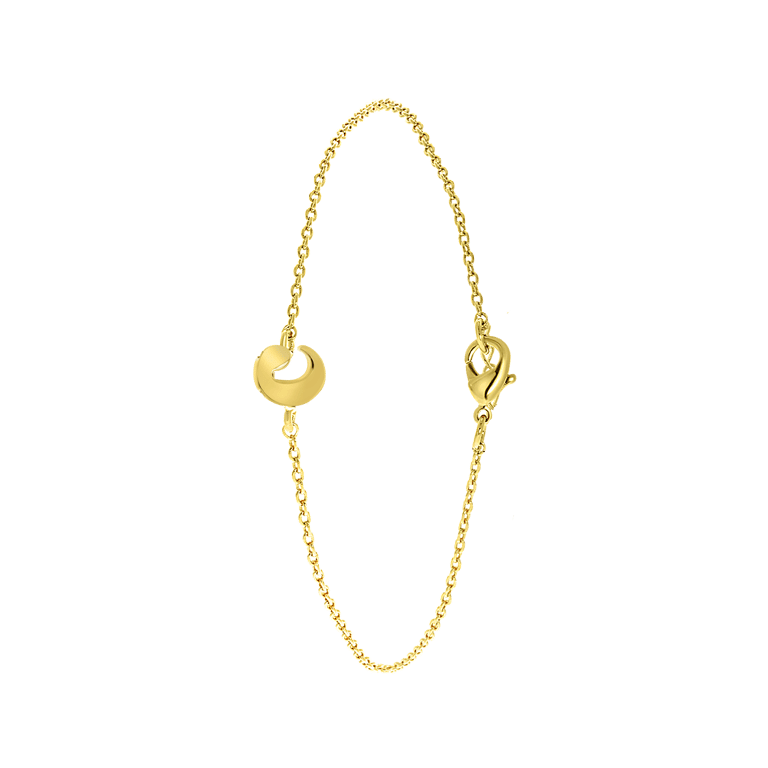 Stainless steel armband goldplated met letter