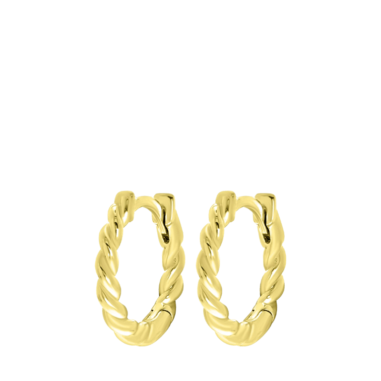 Zilveren goldplated oorringen gedraaid voor dames