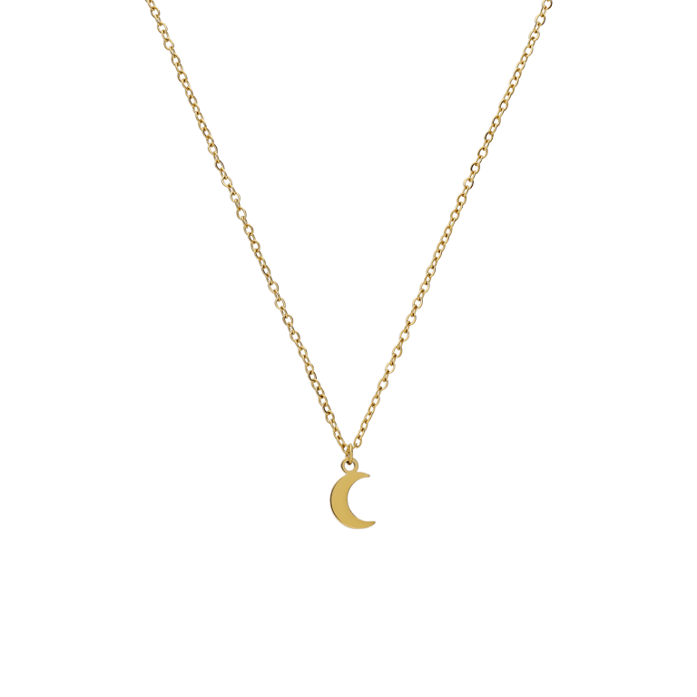 Myla stainless steel goldplated ketting voor dames