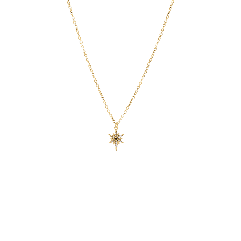 Stalen goldplated ketting met hanger ster met zirkonia voor dames