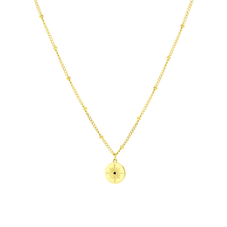 Stalen goldplated ketting met hanger munt met zirkonia voor dames